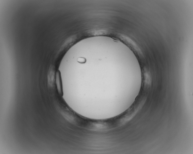 X0000111470308200908101120