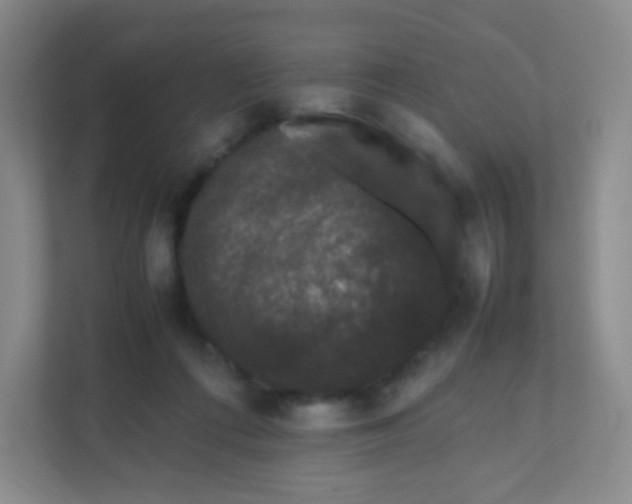 X0000111470312200908101120