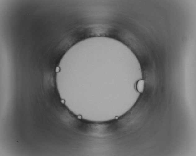 X0000111470313200908101120