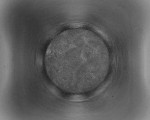 X0000111470315200908101120