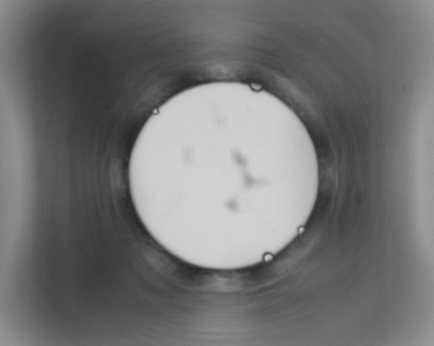 X0000111470317200908101120