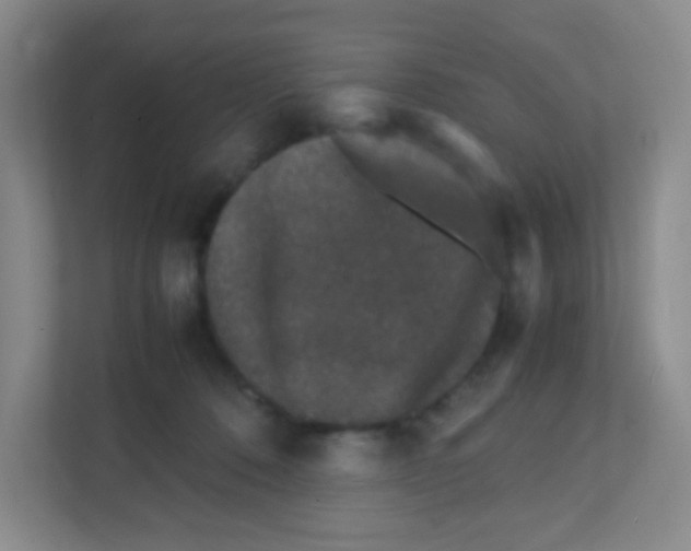 X0000111470320200908101120