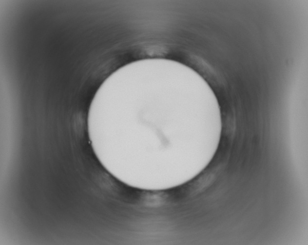 X0000111470321200908101120