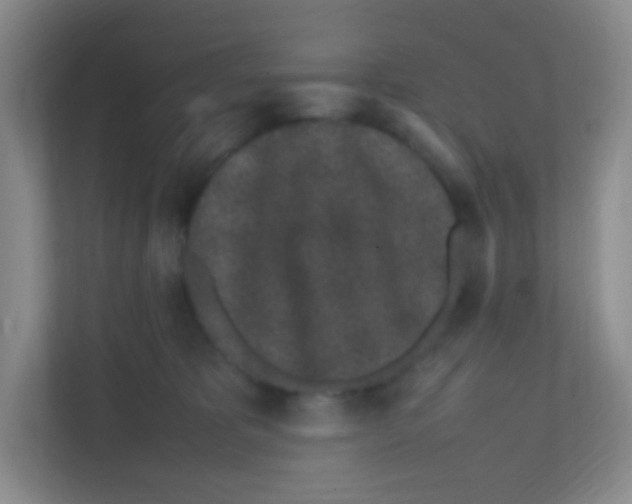 X0000111470325200908101120