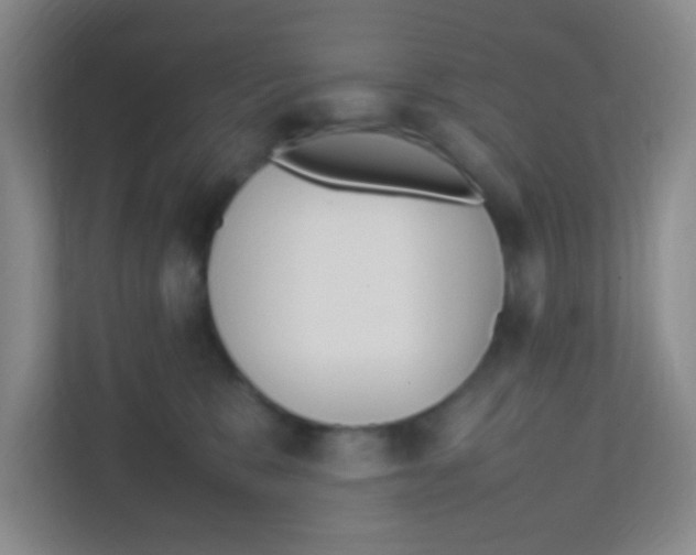 X0000111470327200908101120