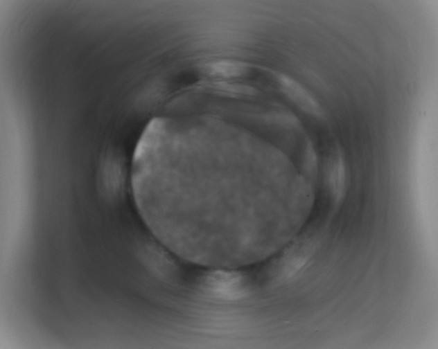 X0000111470328200908101120