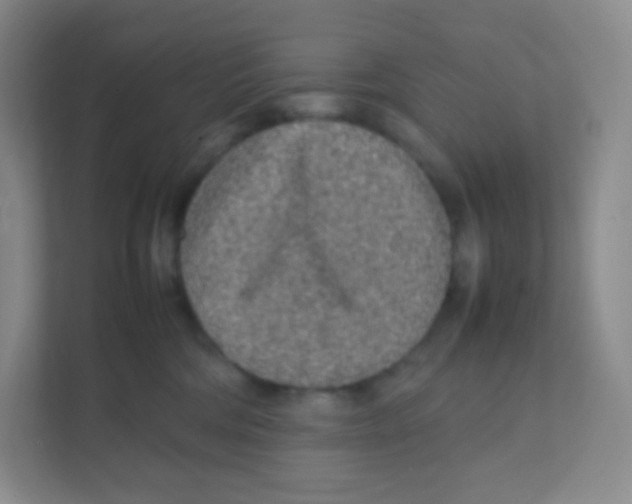 X0000111470330200908101120