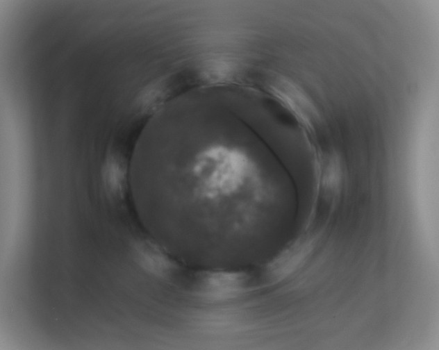 X0000111470332200908101120