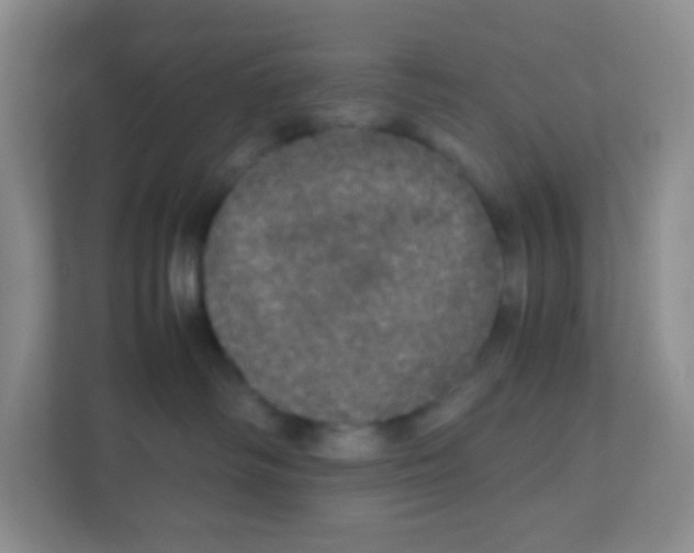 X0000111470334200908101119