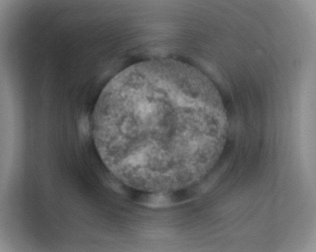 X0000111470335200908101119