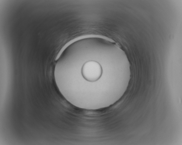 X0000111470336200908101119