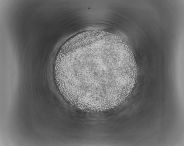 X0000111470337200908101119