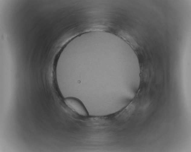 X0000111470338200908101119