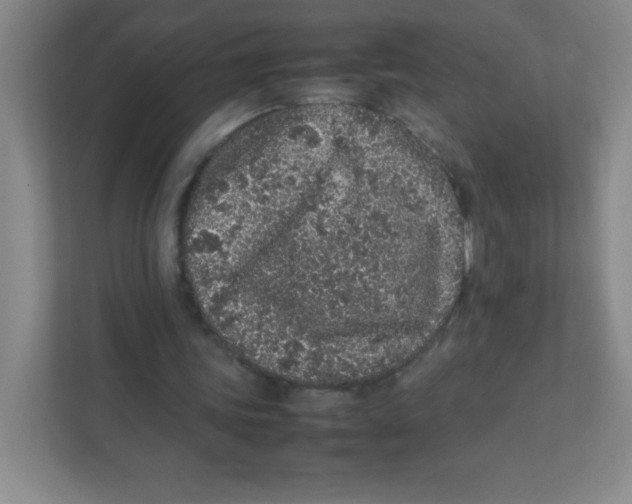 X0000111470339200908101119