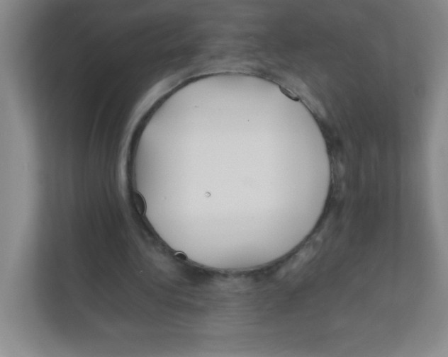 X0000111470340200908101119