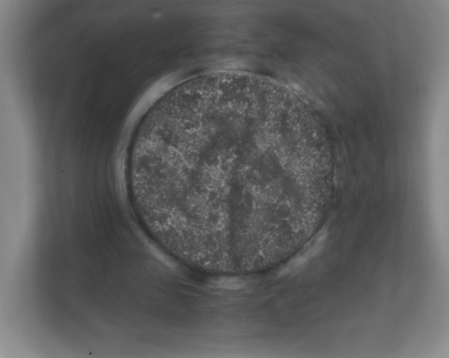 X0000111470341200908101119