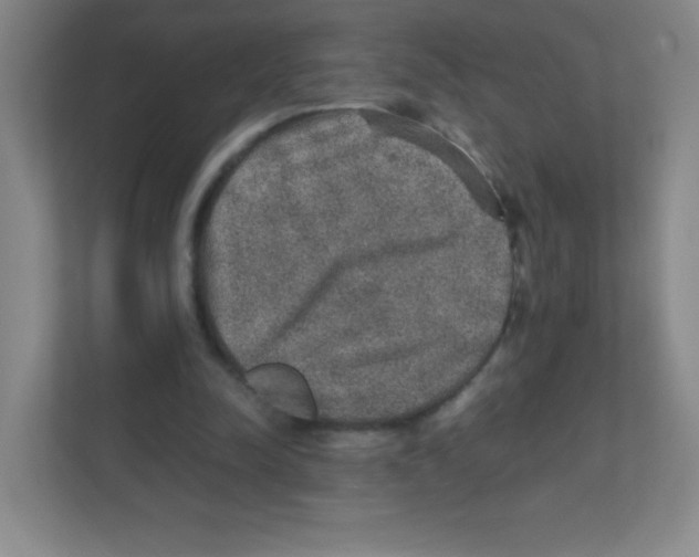 X0000111470342200908101119