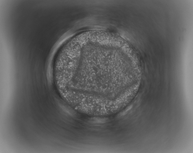 X0000111470343200908101119