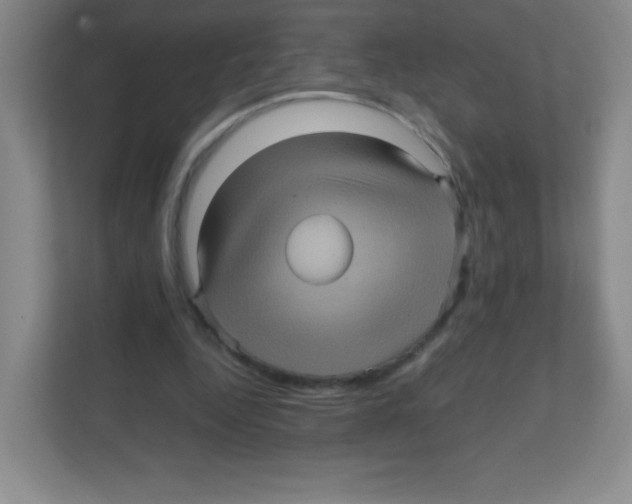 X0000111470344200908101119