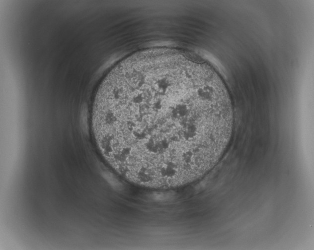 X0000111470345200908101119