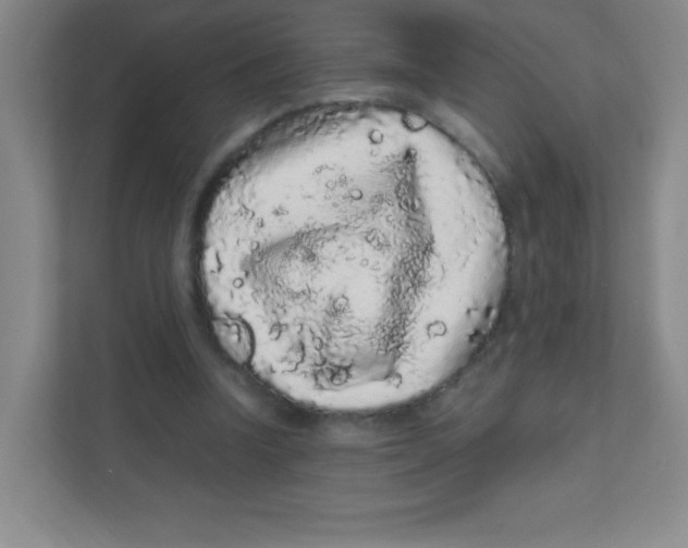 X0000111470346200908101119