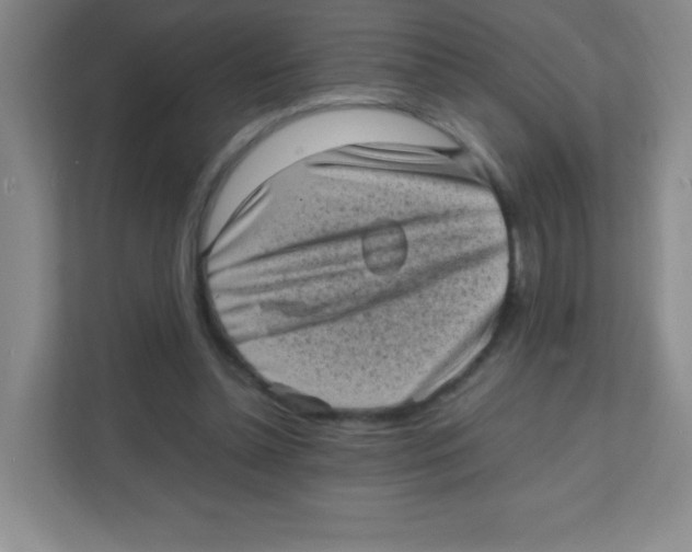 X0000111470348200908101119