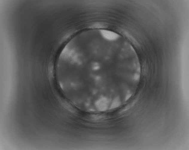 X0000111470351200908101119