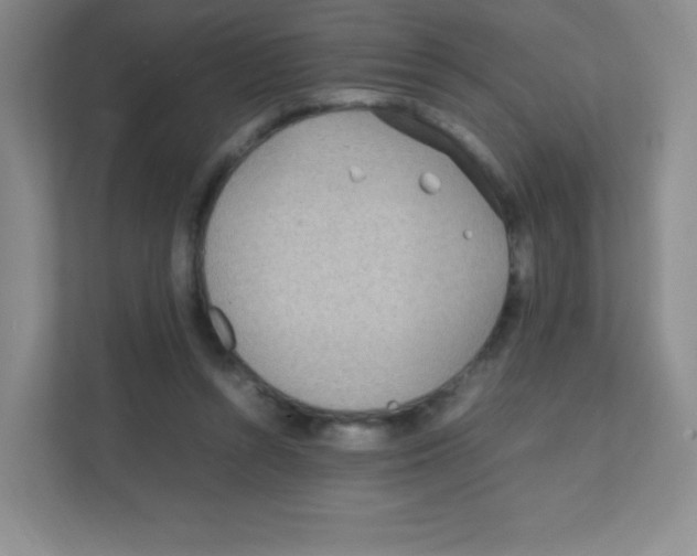 X0000111470352200908101119