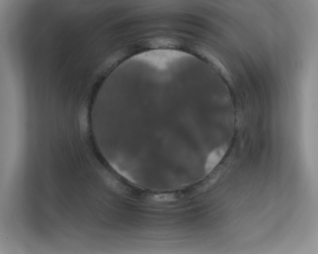 X0000111470353200908101119