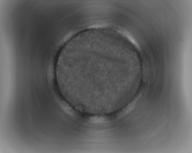 X0000111470354200908101119