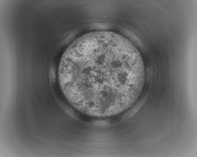 X0000111470358200908101119