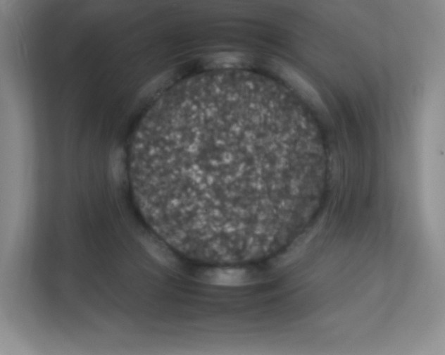 X0000111470361200908101119