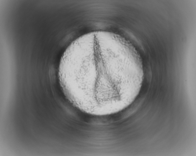 X0000111470366200908101119