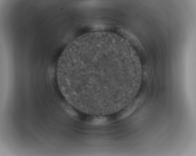 X0000111470369200908101119