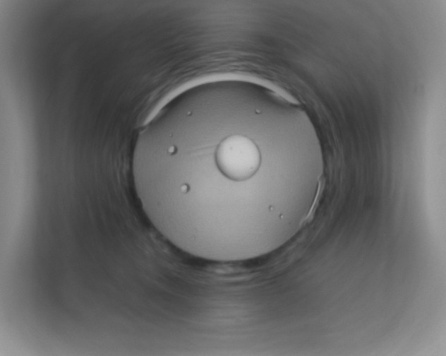 X0000111470372200908101119