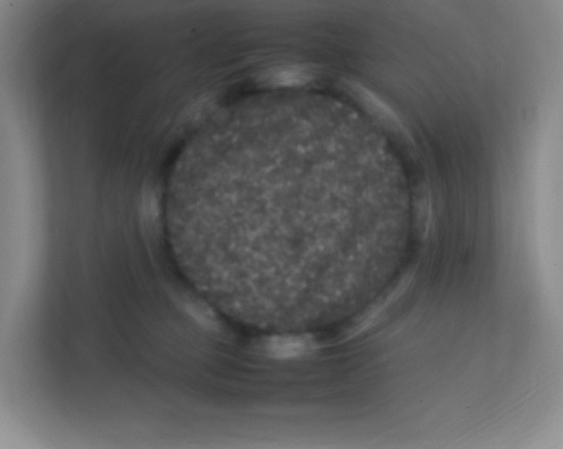 X0000111470373200908101119