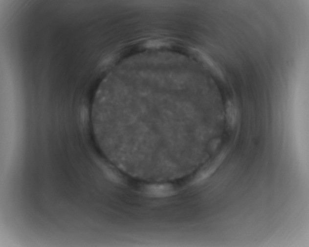 X0000111470375200908101119