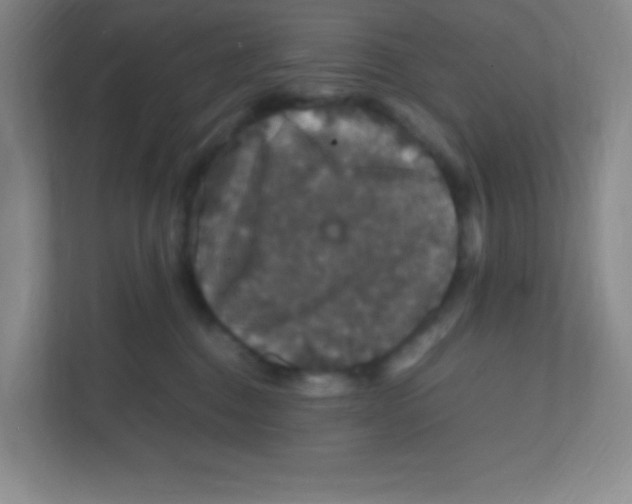 X0000111470376200908101119