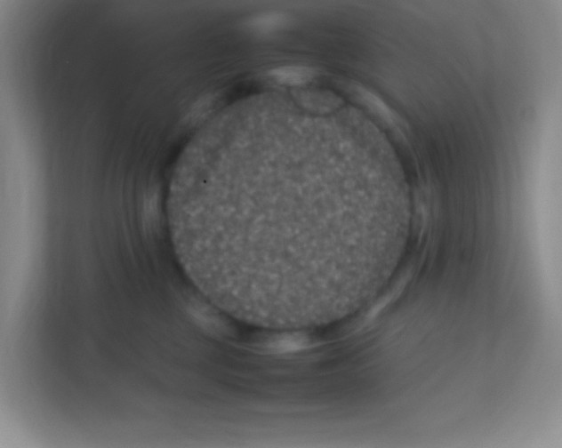 X0000111470377200908101119