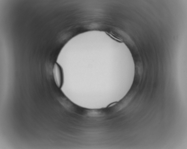 X0000111470380200908101119