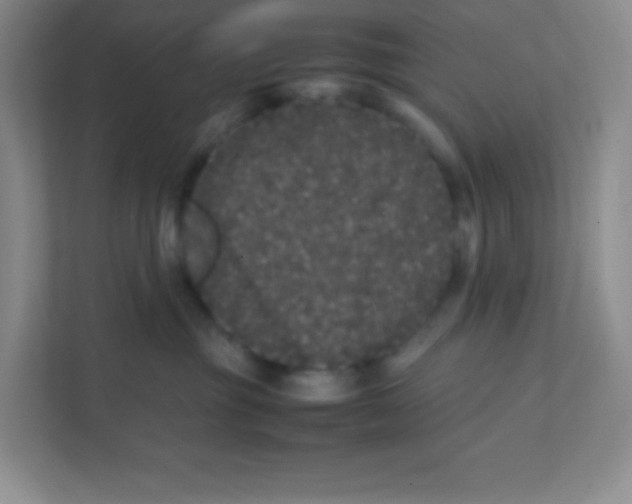 X0000111470381200908101119