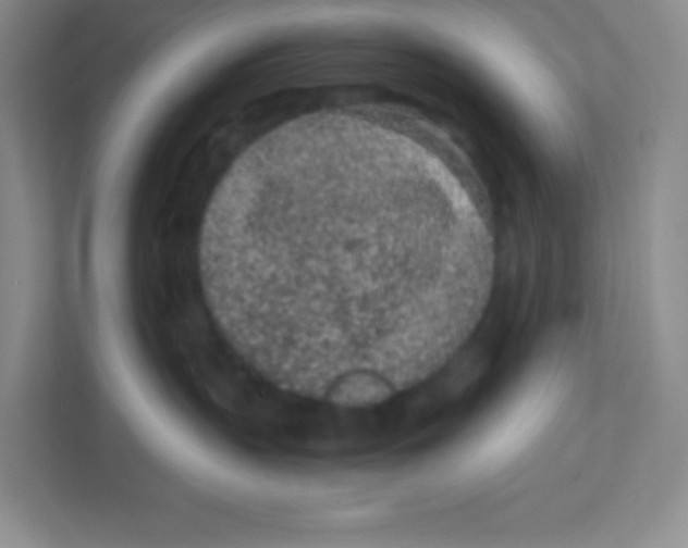 X0000111470383200908101119