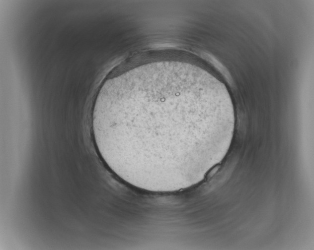 X0000111470385200908101119