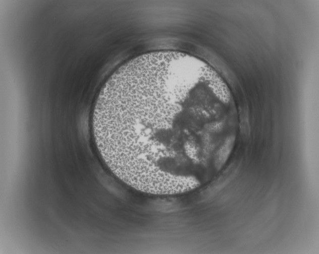 X0000111470386200908101119