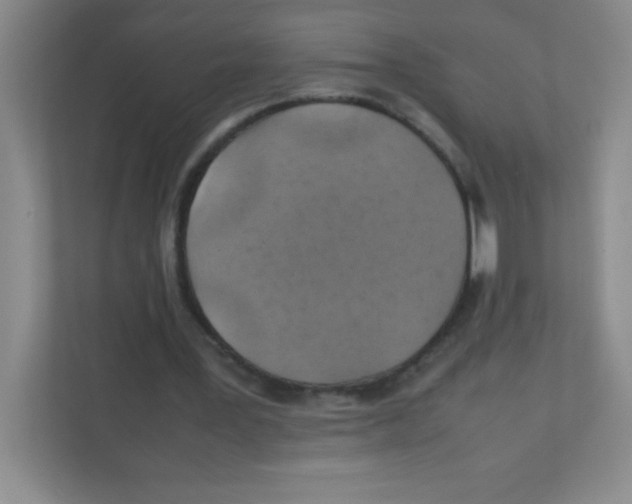 X0000111470387200908101119