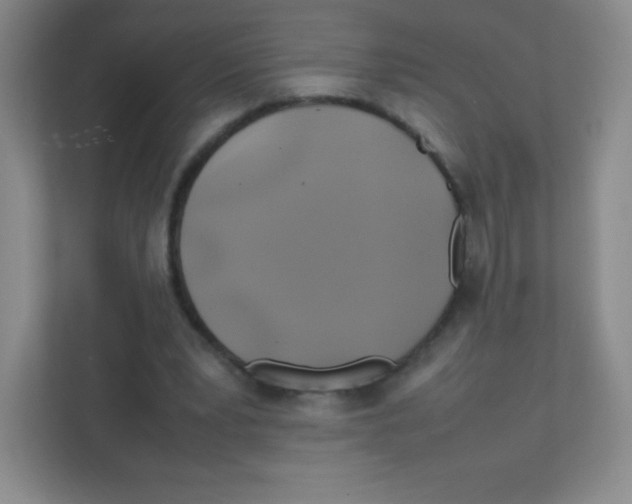 X0000111470391200908101119