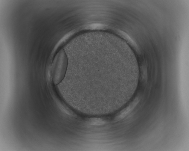 X0000111470392200908101119