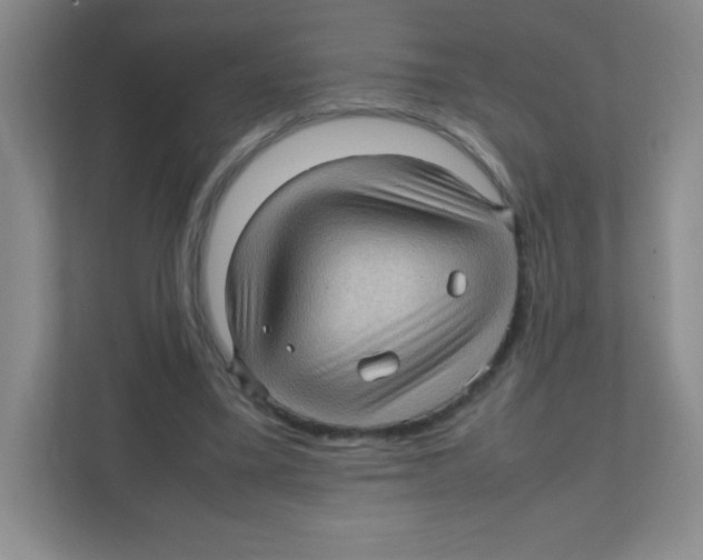 X0000111470395200908101119