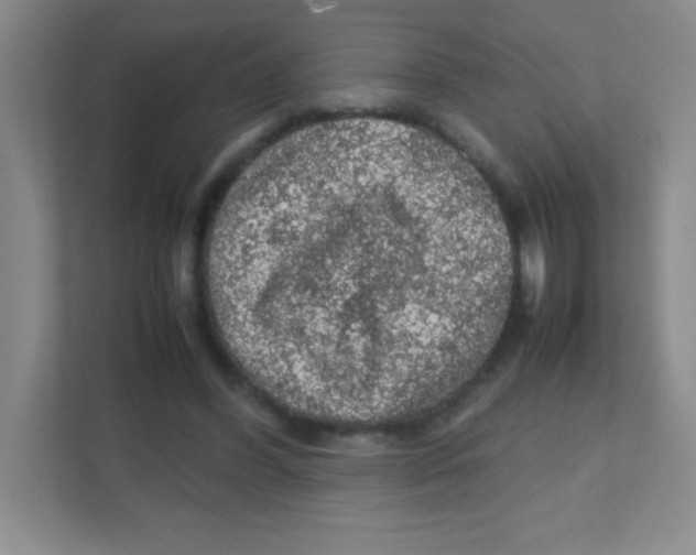 X0000111470396200908101119