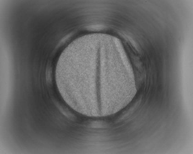 X0000111470400200908101119